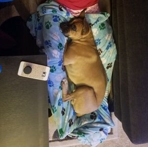 Meet your Posher, Aisha